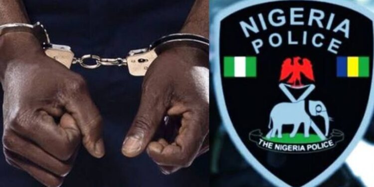 Police Detain Man With Fresh Human Head in Edo