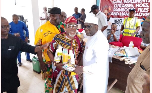 Senator Neda Imasuen Cautions Edo Farmers Against Auctioning Empowerment Tools
