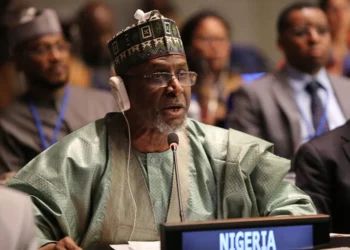 FG Plans $186m Green Bond to Boost Clean Energy Initiatives
