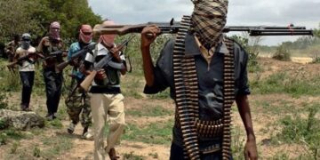 ISWAP Kills 23 Farmers, Abducts 18 Others In Borno