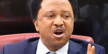 Taking Domestic Staff Abroad May Land You in Jail, Shehu Sani Warns Nigerian Elite