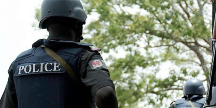 Police Detain Six Suspected Cultists, Recover Firearms in Enugu