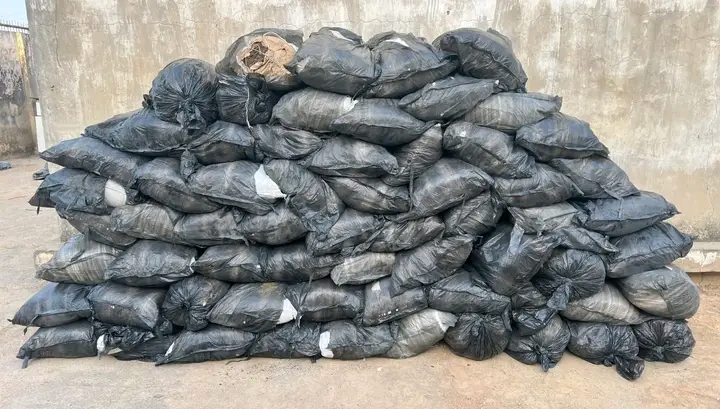 NDLEA Seizes 64 Bags of Suspected Cannabis, Arrests Driver in Kano