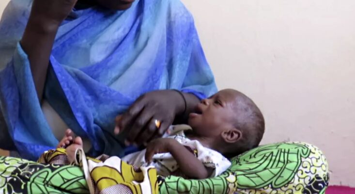 N1.5bn Disbursed to Strengthen Immunisation as Programme Reaches Over 170,000 Infants in Northern Nigeria