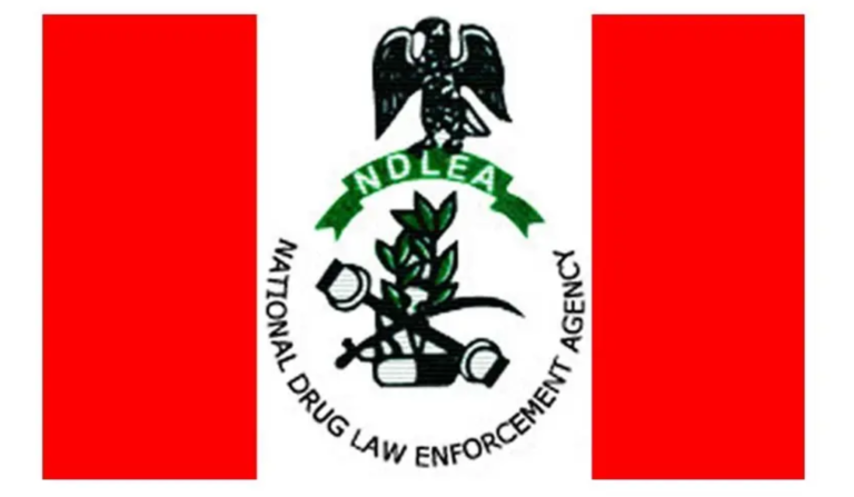 NDLEA, Delta Elders Partner to End Drug-related Crimes Among Youths