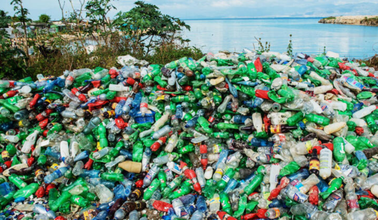 Türkiye to Ban Single-use Plastics1 Under New Circular Economy Plan