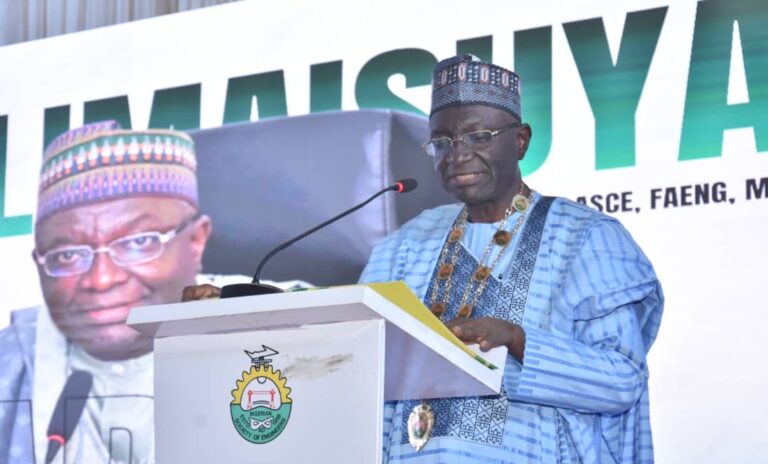 NSE President Seeks Holistic Approach to Power Sector Challenges